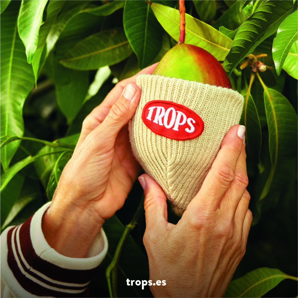 Los Mangos Trops Inician Su Campa A Promocional Con Su Spot